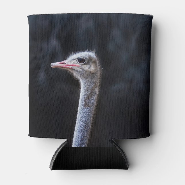 Ostrich Photography Can Cooler (Front)
