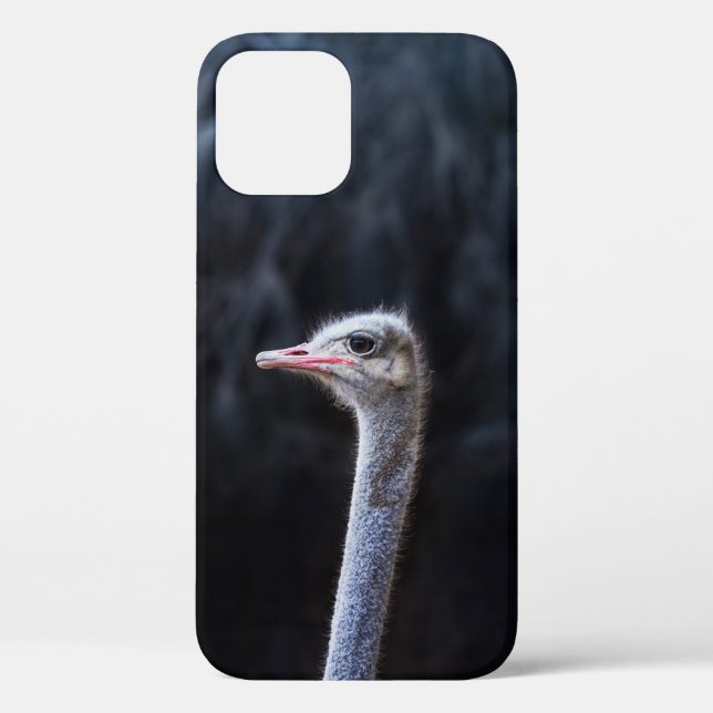 Ostrich Photography Case-Mate iPhone Case (Back)