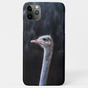 Ostrich Photography iPhone 11 Pro Max Case