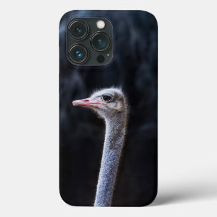 Ostrich Photography iPhone 13 Pro Case