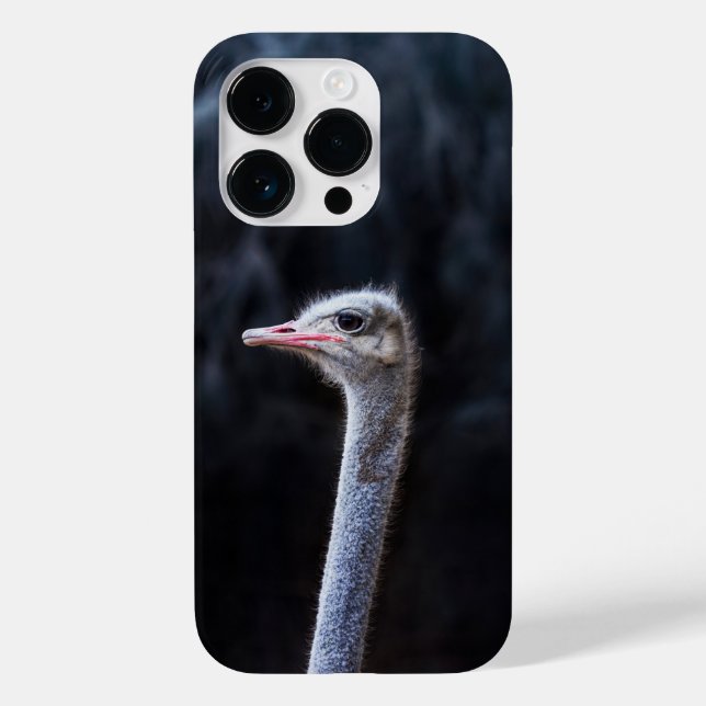 Ostrich Photography Case-Mate iPhone Case (Back)