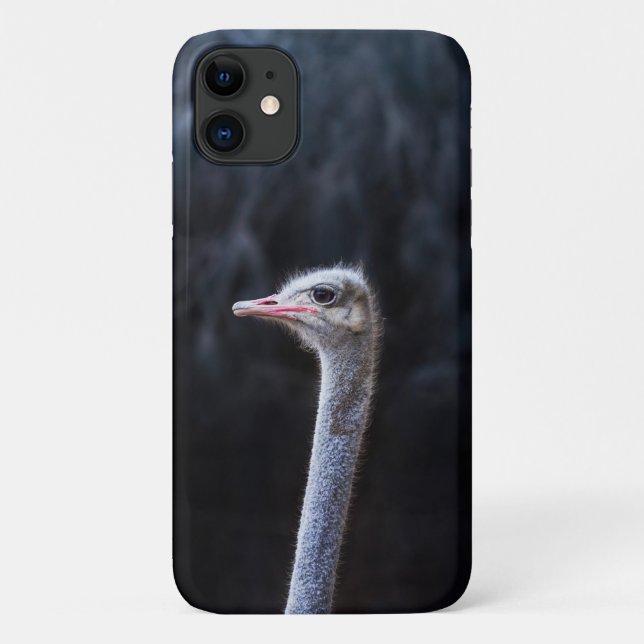 Ostrich Photography Case-Mate iPhone Case (Back)