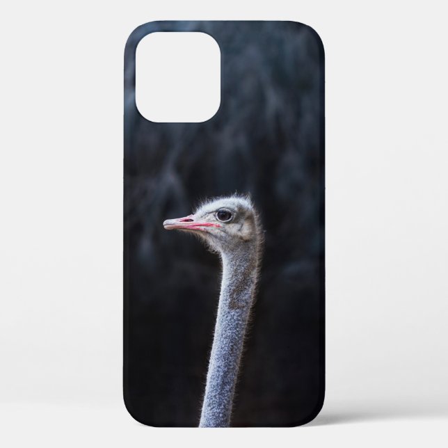 Ostrich Photography Case-Mate iPhone Case (Back)