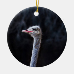 Ostrich Photography Ceramic Ornament