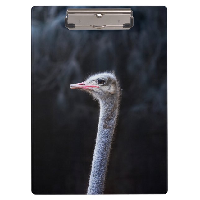 Ostrich Photography Clipboard (Front)