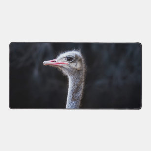 Ostrich Photography Desk Mat