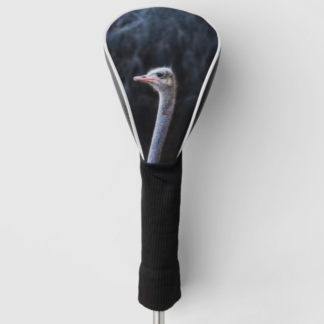 Ostrich Photography Golf Head Cover (Front)