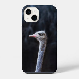 Ostrich Photography iPhone 14 Case