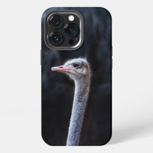 Ostrich Photography iPhone 13 Pro Case
