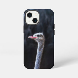 Ostrich Photography iPhone 13 Mini Case