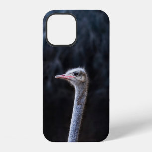 Ostrich Photography iPhone 12 Case