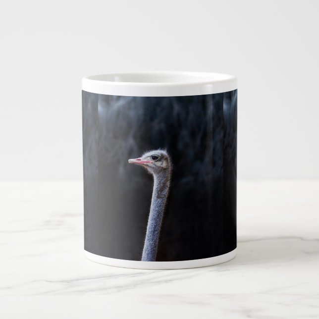 Ostrich Photography Large Coffee Mug (Front)