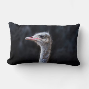 Ostrich Photography Lumbar Cushion