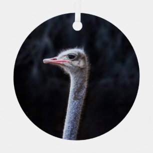 Ostrich Photography Metal Tree Decoration