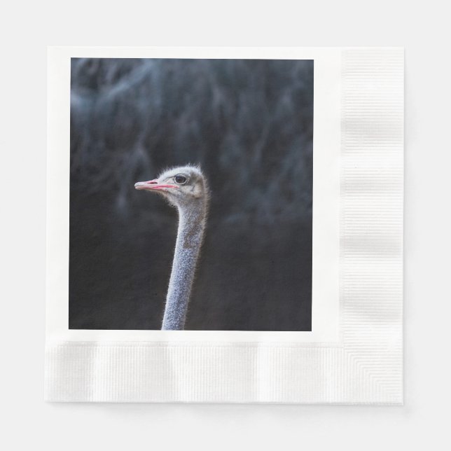 Ostrich Photography Napkin (Front)