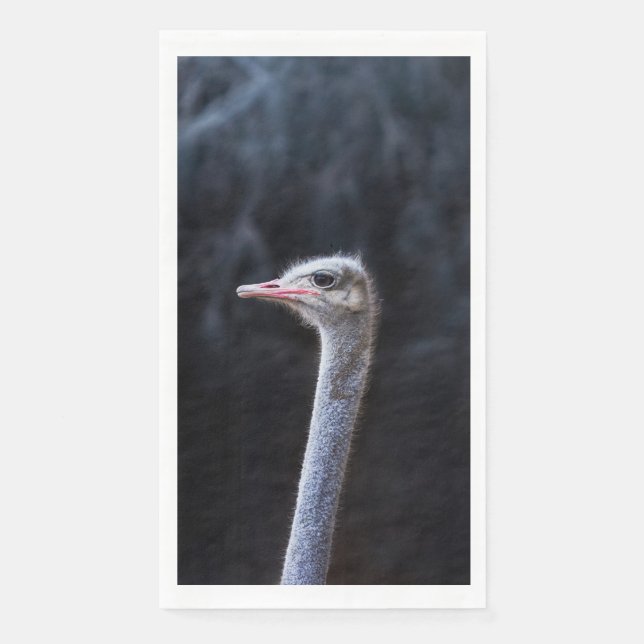 Ostrich Photography Napkin (Front)