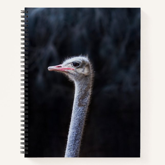 Ostrich Photography Notebook (Front)
