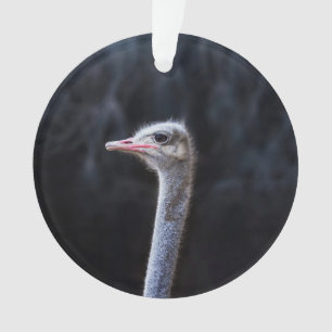 Ostrich Photography Ornament
