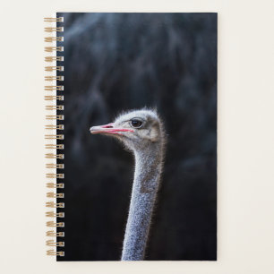 Ostrich Photography Planner