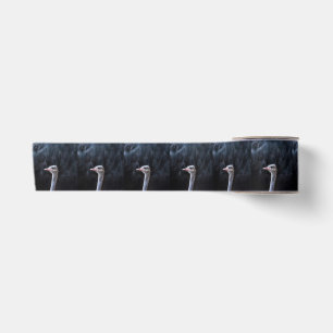 Ostrich Photography Satin Ribbon