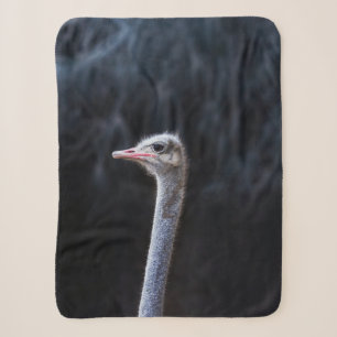 Ostrich Photography Sherpa Blanket