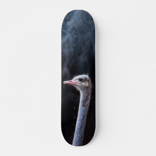Ostrich Photography Skateboard (Front)