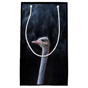 Ostrich Photography Small Gift Bag