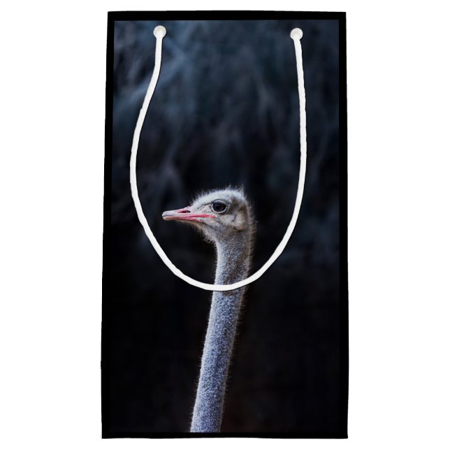 Ostrich Photography Small Gift Bag (Front)