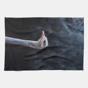 Ostrich Photography Tea Towel