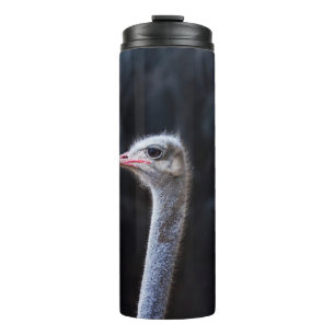Ostrich Photography Thermal Tumbler