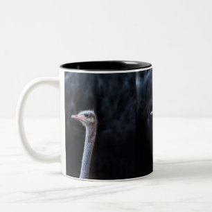 Ostrich Photography Two-Tone Coffee Mug