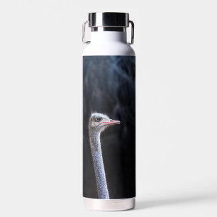 Ostrich Photography Water Bottle