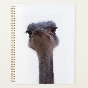 ostrich planner