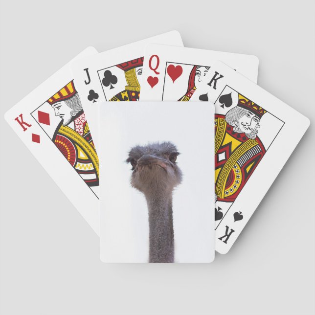 ostrich playing cards (Back)