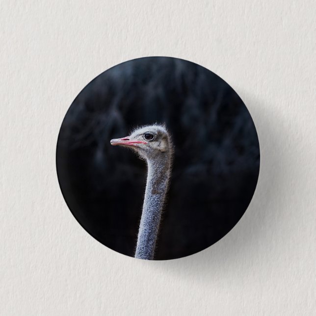 ostrich portrait    3 cm round badge (Front)