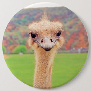 Ostrich portrait 6 cm round badge