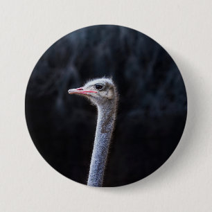 ostrich portrait   7.5 cm round badge