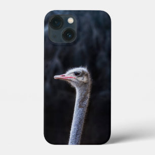 ostrich portrait     iPhone 13 mini case