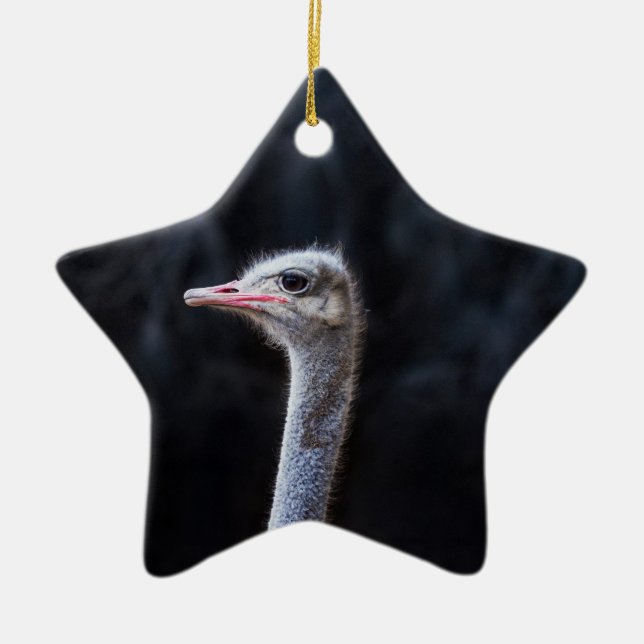 ostrich portrait  ceramic ornament (Front)