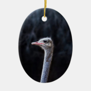 ostrich portrait ceramic ornament