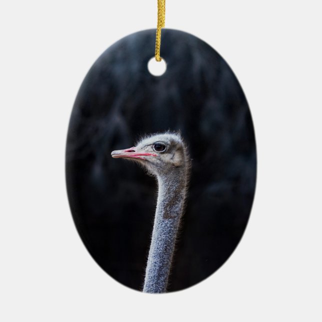 ostrich portrait    ceramic ornament (Front)