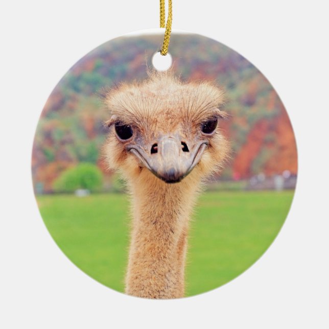 Ostrich portrait ceramic tree decoration (Front)