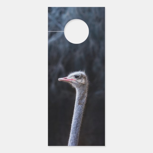 ostrich portrait     door hanger (Front)