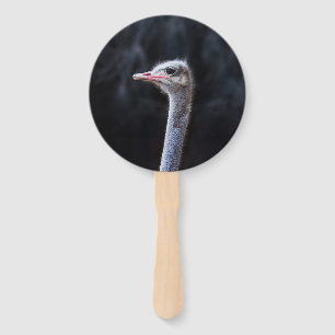 ostrich portrait hand fan