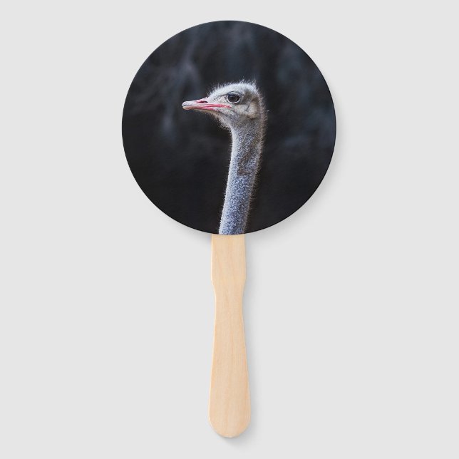 ostrich portrait   hand fan (Front)