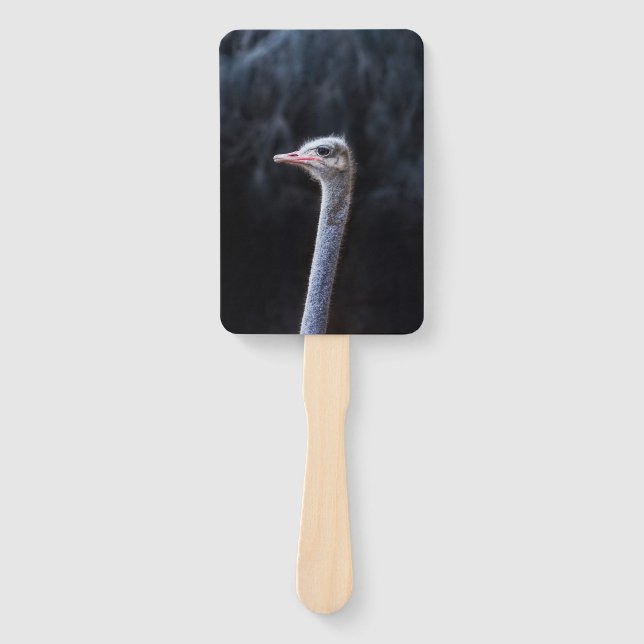 ostrich portrait     hand fan (Front)