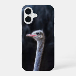 ostrich portrait iPhone 16 case