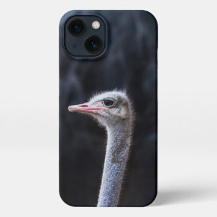 ostrich portrait     iPhone 13 case