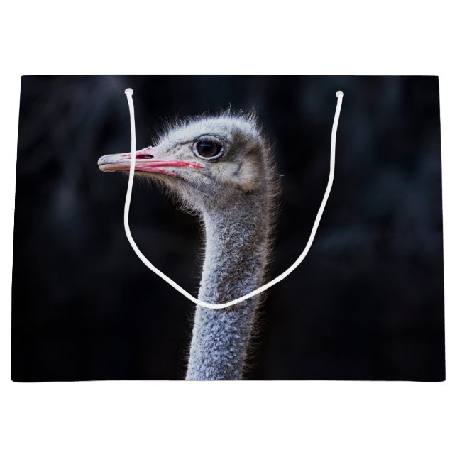 ostrich portrait  large gift bag (Front)