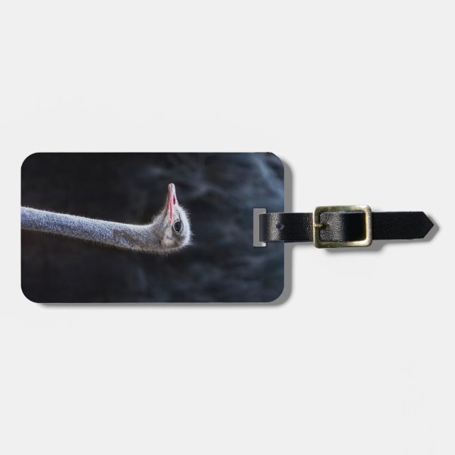 ostrich portrait    luggage tag (Front Horizontal)
